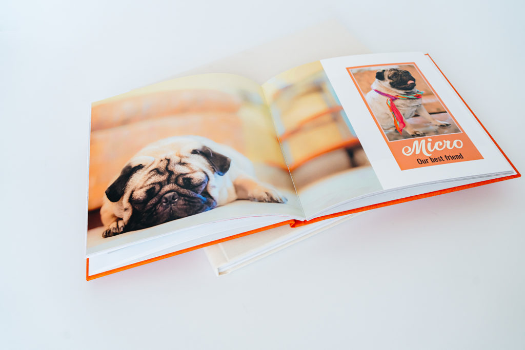 Pet photo book with a linen cover as a Christmas gift for the fur parent